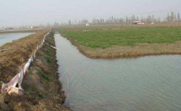 小龙虾的四大习性,小龙虾迁移性强,对水温要求不高_养虾