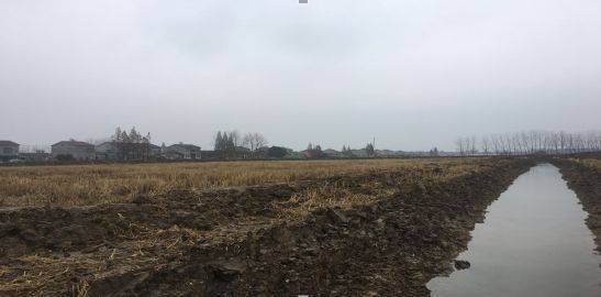 小龙虾池塘怎么选址,小龙虾池塘选址的五大要求_养虾