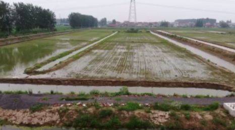 小龙虾池塘怎么选址,小龙虾池塘选址的五大要求_养虾