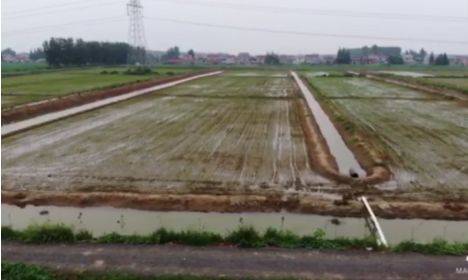 小龙虾池塘怎么选址,小龙虾池塘选址的五大要求_养虾