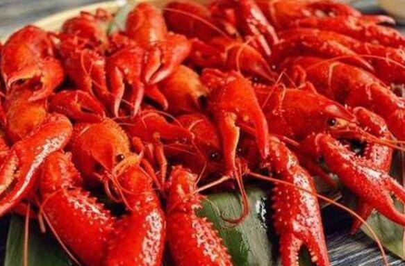 小龙虾爱吃什么食物,小龙虾的食物种类有哪些_养虾