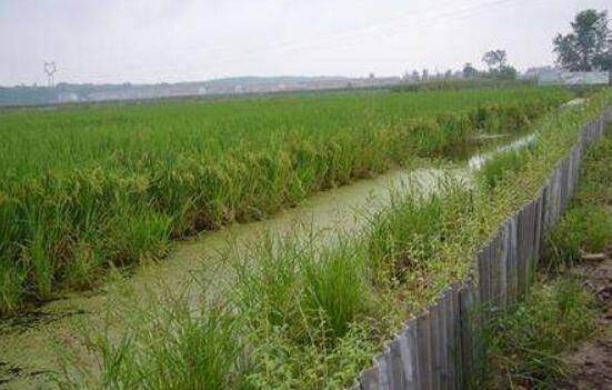 水稻田养小龙虾怎么防逃,多项防逃措施来帮忙_养虾