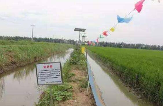 虾稻共生模式稻田改造的方法_养虾