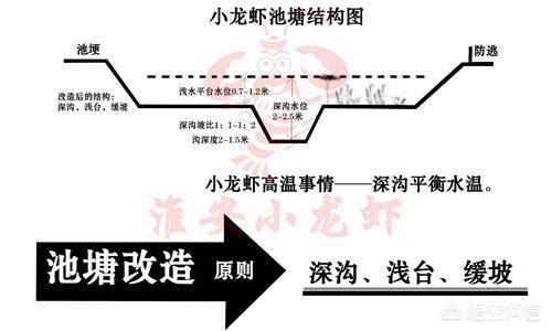 防止小龙虾打洞逃跑及田埂建造方法_养虾