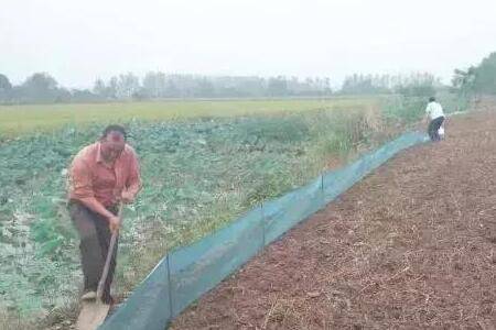 稻田养殖小龙虾怎么挖沟,五个挖沟技巧建议收藏_养虾