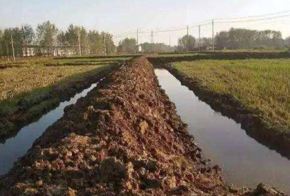 养小龙虾的稻田田埂挖多宽为好_养虾