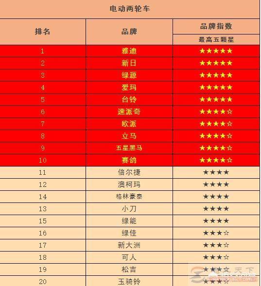 电瓶车哪个牌子好,行业专家给出电动车品牌表