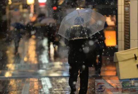 雨伞上的绝缘体能避雷电吗?
