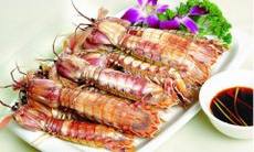 食材大全:皮皮虾