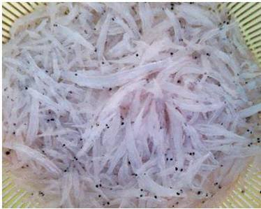 菜谱百科之银鱼