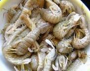 ƤƤϺòØÆ¤¶¹Ñ¿²Ë