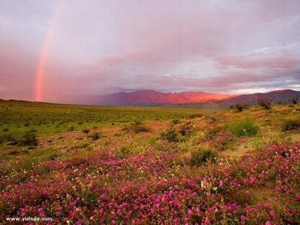 消魂的醉人风光
