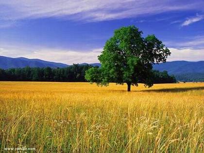 消魂的醉人风光