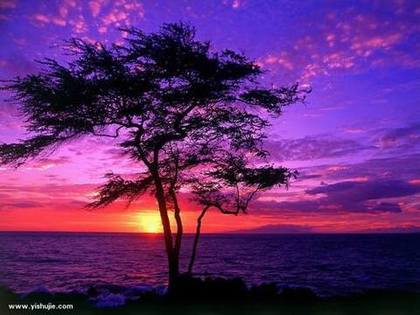 消魂的醉人风光