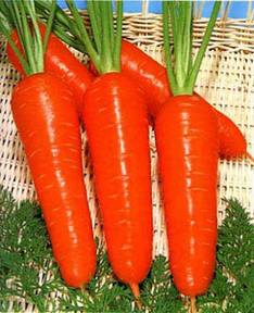 胡萝卜是电脑一族必吃的防辐射食物