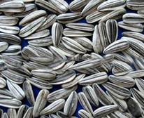 饭后适宜吃健康零食