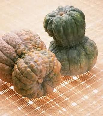 深秋应该吃的营养又美味南瓜菜