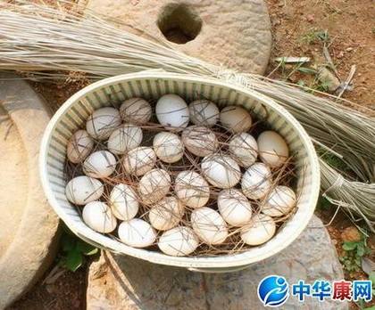 土鸡蛋和洋鸡蛋