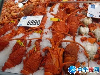 澳大利亚龙虾