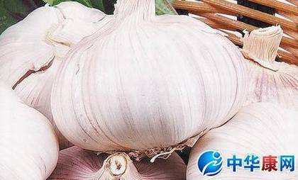 大蒜的图片