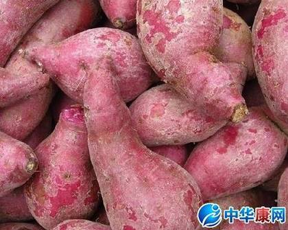 紫薯