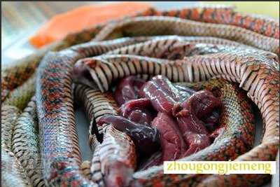 梦见别人吃蛇 梦见别人吃蛇