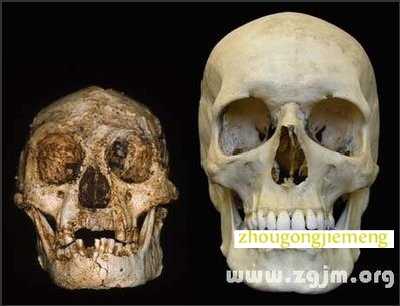 梦见死人头骨 梦见死人头骨