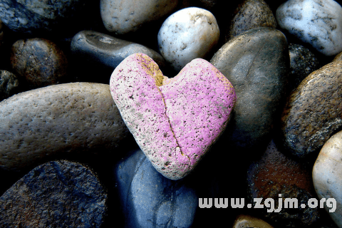 梦见用石头打乌龟