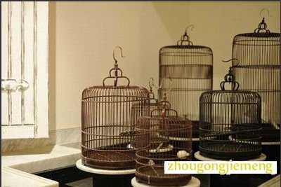 梦见鸟笼