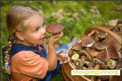 梦见采蘑菇