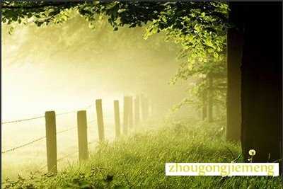 梦见雾气