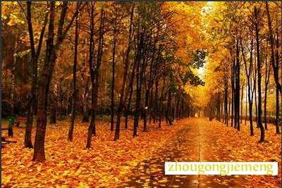 梦见秋天