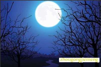 梦见圆月