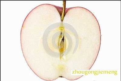 梦见物体的一半