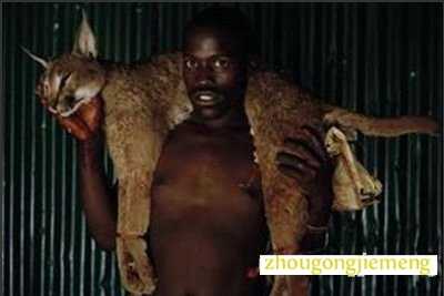 梦见已死的猎物