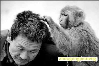 梦见自己身上有虱子