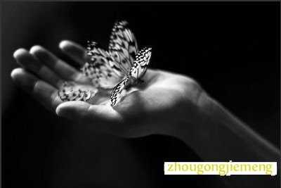 梦见蝴蝶死亡