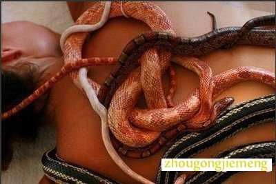 梦见很多蛇缠身