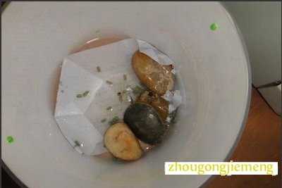 梦见乌龟和螃蟹