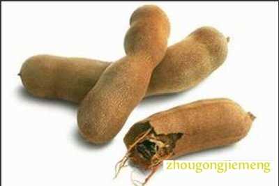 梦见罗望子树 罗望子