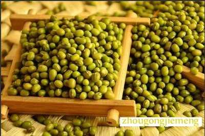 梦见绿豆 种绿豆
