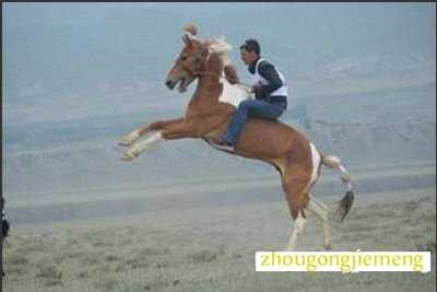 梦见骑着马奔跑