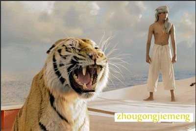 梦见遇见老虎而吓一跳