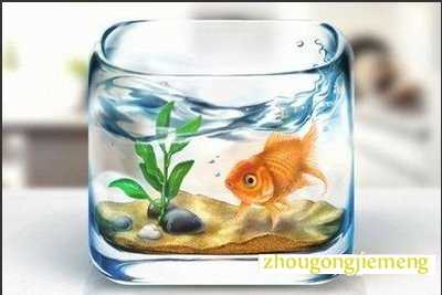 梦见鱼缸