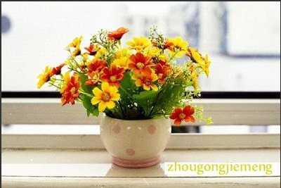 梦见塑料花 假花