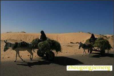 梦见自己陷入困境