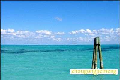 梦见水 到处都是水