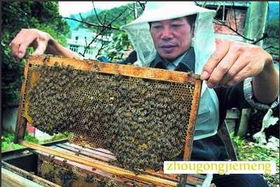 梦见蜂箱