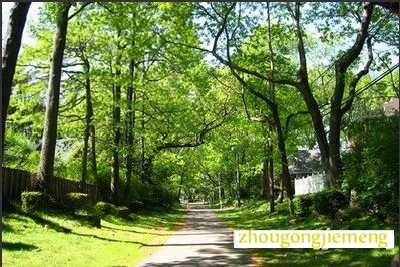 梦见风和日丽的早上