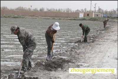 梦见正在挖一条沟